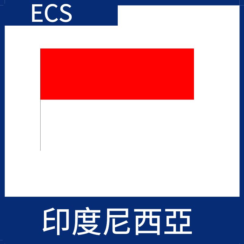 印度尼西亞視頻加速ECS