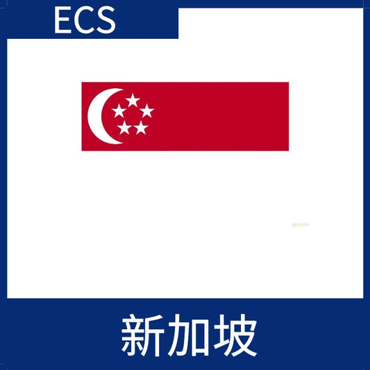 新加坡視頻加速ECS