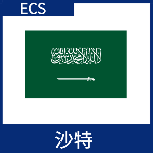 沙特阿拉伯視頻加速ECS